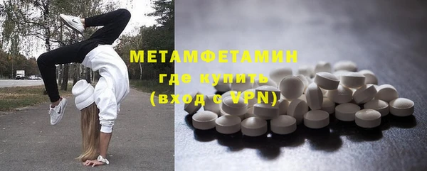 соль ск Дмитриев