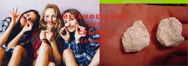 соль ск Дмитриев