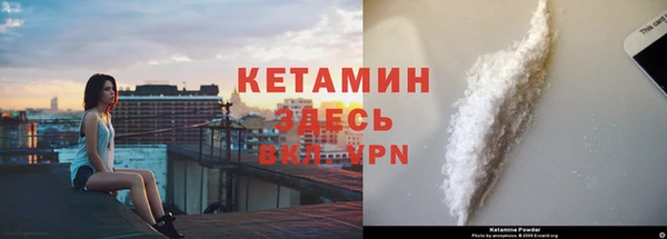 сатива Гусь-Хрустальный