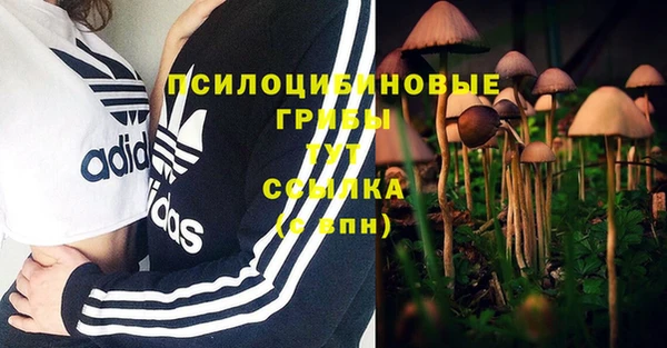 спайс Дмитровск