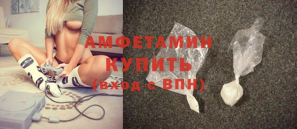 сатива Гусь-Хрустальный
