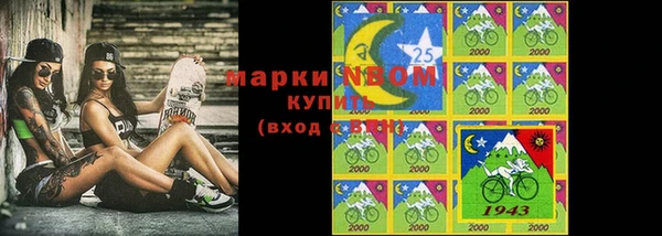 сатива Гусь-Хрустальный