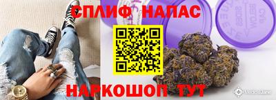 стаф Ливны