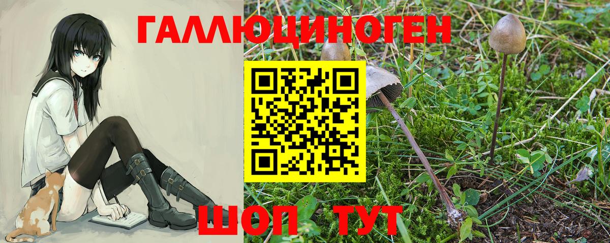 Галлюциногенные грибы прущие грибы  Вход с VPN  Донецк 